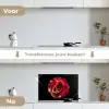 Bloem - Roos - Rood - Zwart keuken achterwand spatscherm klein -voor_na_NL