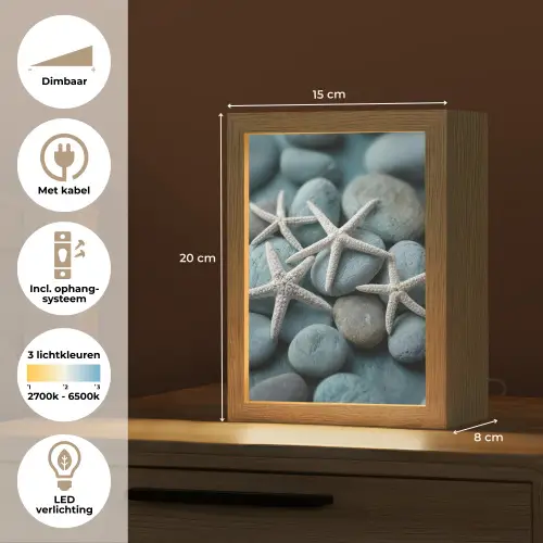 Zeesterren - Stenen - Wit Light Box met kabel (Tafellamp) klein -USP_NL