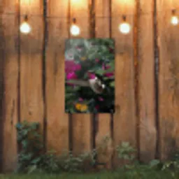 Kolibrie - Vogel - Roze tuinposter los doek klein -sfeer1