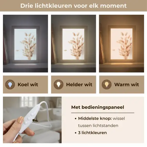 Pampasgras - Pluim - Wit - Beige Light Box met kabel (Tafellamp) klein -USP_lichtkleurNL