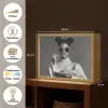 Vrouw - Pasta - Zonnebril Light Box met batterij (Wandlamp) middel -USP_websiteoverzichtNL