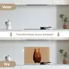 Beer - Minimalistisch - Bruin keuken achterwand spatscherm klein -voor_na_NL