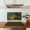 Hert - Gewei - Gras - Natuur - Dieren - Groen keuken achterwand spatscherm klein -sfeer2