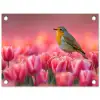 Roodborstje in Tulpenveld tuinposter los doek klein -3d