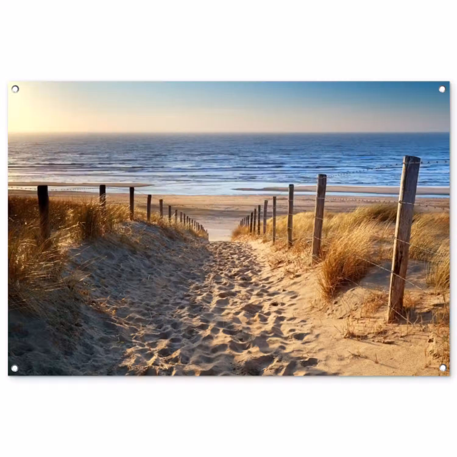 Garden Poster - Path to the Sea