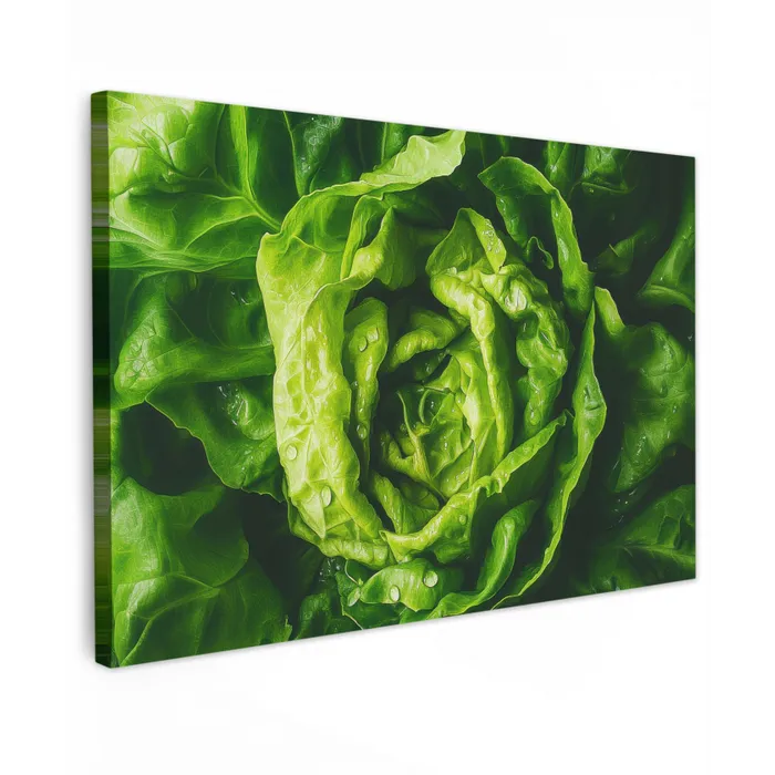 Groente - Sla - Groen Tuinposter op houten frame 2 cm dik klein -3d
