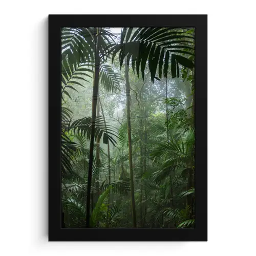 Regenwoud - Tropisch - Jungle - Bomen - Planten fotolijst zwart zonder passe partout klein -3d