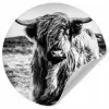 Schotse hooglander - Natuur - Koe - Zwart - Wit Wandcirkel behangsticker klein -3d