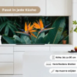 Paradijsvogel - Bloem - Exotisch keuken achterwand 2 middel -sfeer4_DE