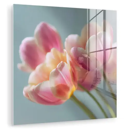 Tulpen - Roze - Stelen plexiglas 5mm klein -zzzproduct_nieuw