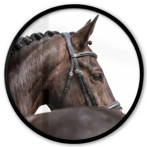 Portret - Paard - Elegant Fotolijst rond zonder passe partout klein -3d