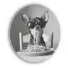 Chihuahua - Hond - Zonnebril - Humoristisch - Zwart - Wit - Spaghetti Akoestische PET Vilt - Rond klein -3d