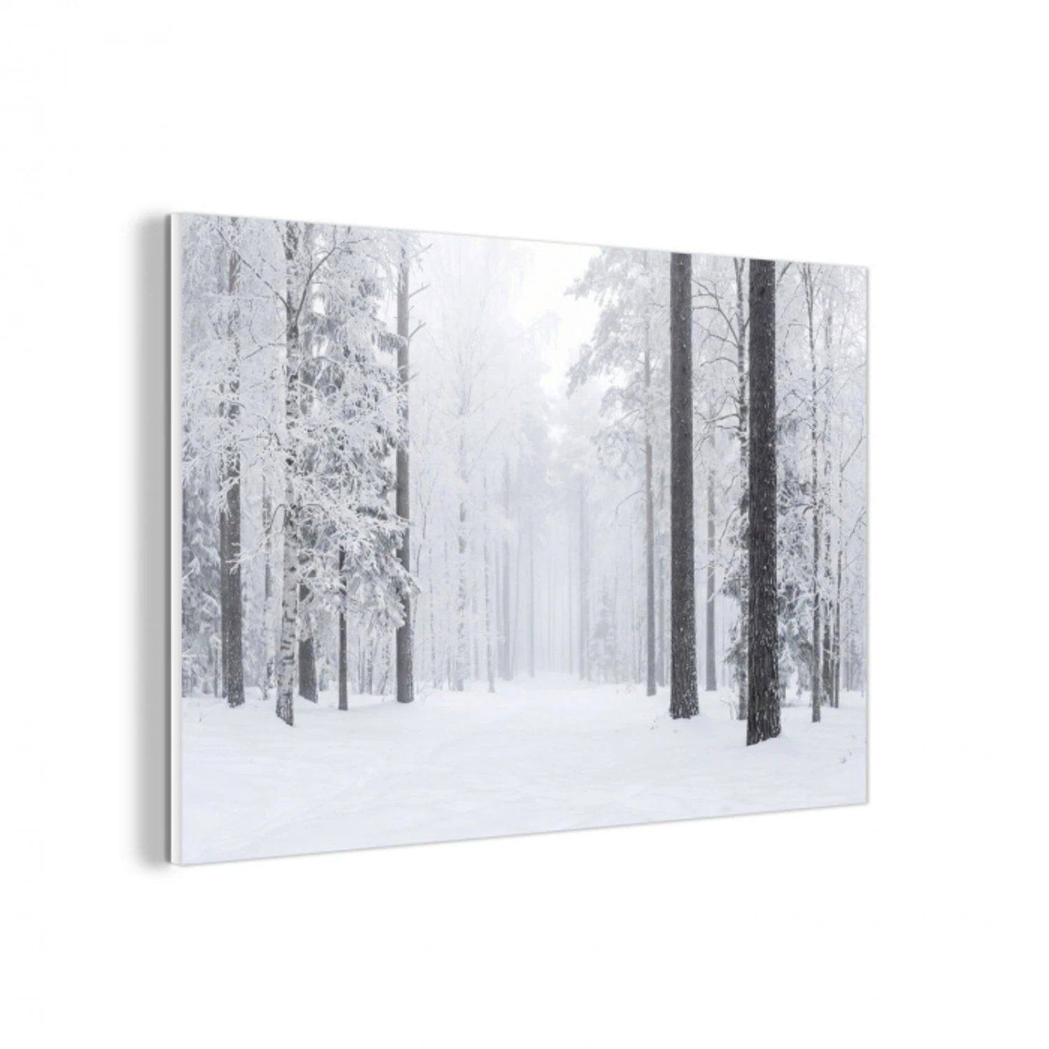 Bos - Sneeuw - Pad - Winter - Stilte forex 5mm xxl -3d