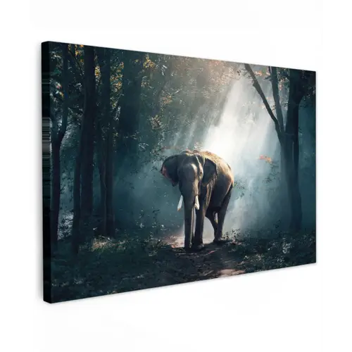 Olifant in mystiek bos Tuinposter op houten frame 2 cm dik klein -3d