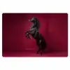 Hengst - Steigert - Rood Placemat vinyl groot -zzsfeer1_Kitchenyeah-website