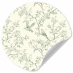 Klassiek - Vogels - Groen Wandcirkel behangsticker klein 186 -3d