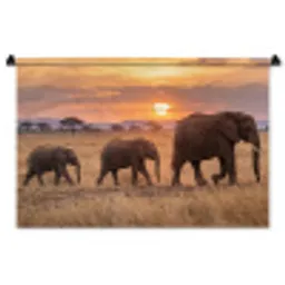 Olifanten - Savanne - Zonsondergang - Afrika - Warm Wandkleed katoen middel -zz3d