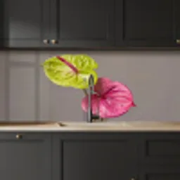Planten - Anthurium - Groen - Roze keuken achterwand 2 middel -sfeer1