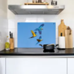 Papagaai - Vliegen - Blauw - Geel Inductie beschemer met haakjes klein -sfeer2
