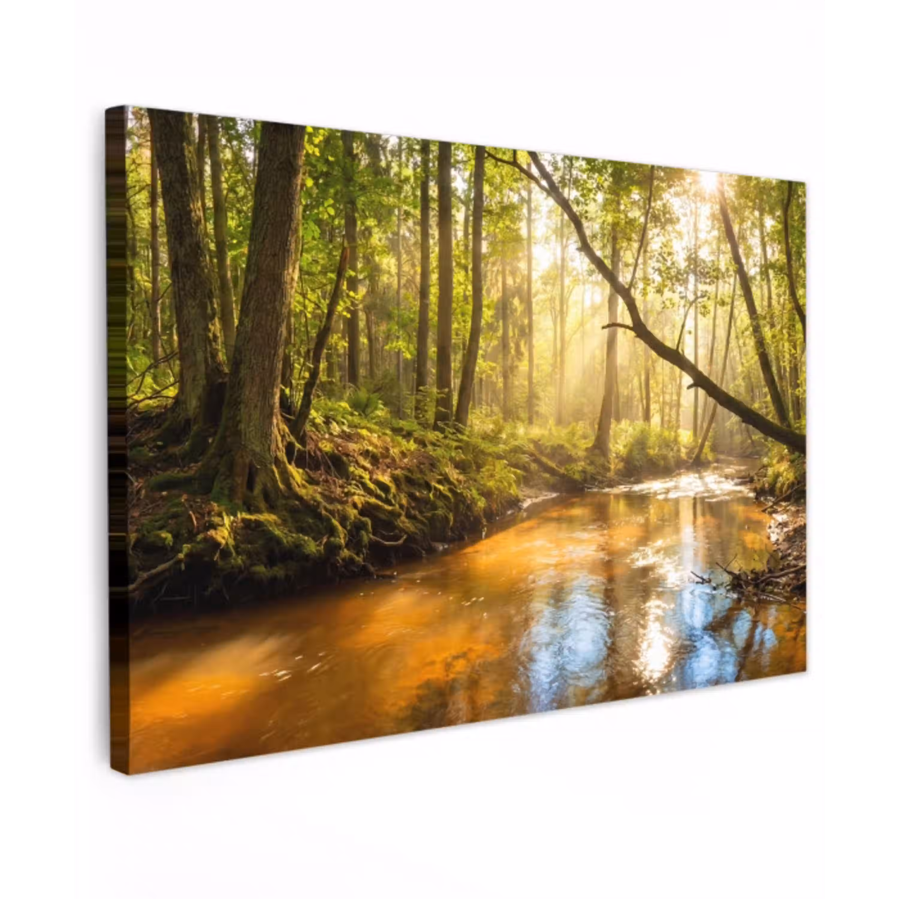Bos - Beek - Zonlicht - Natuur - Groen canvas 2cm klein -z3d