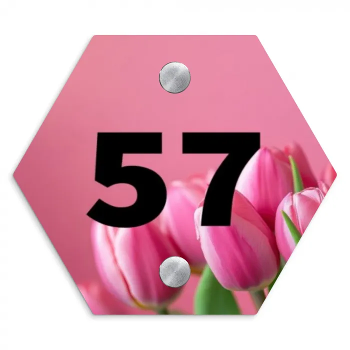 Roze tulpen - Traditioneel Naambord Hexagon klein -3d