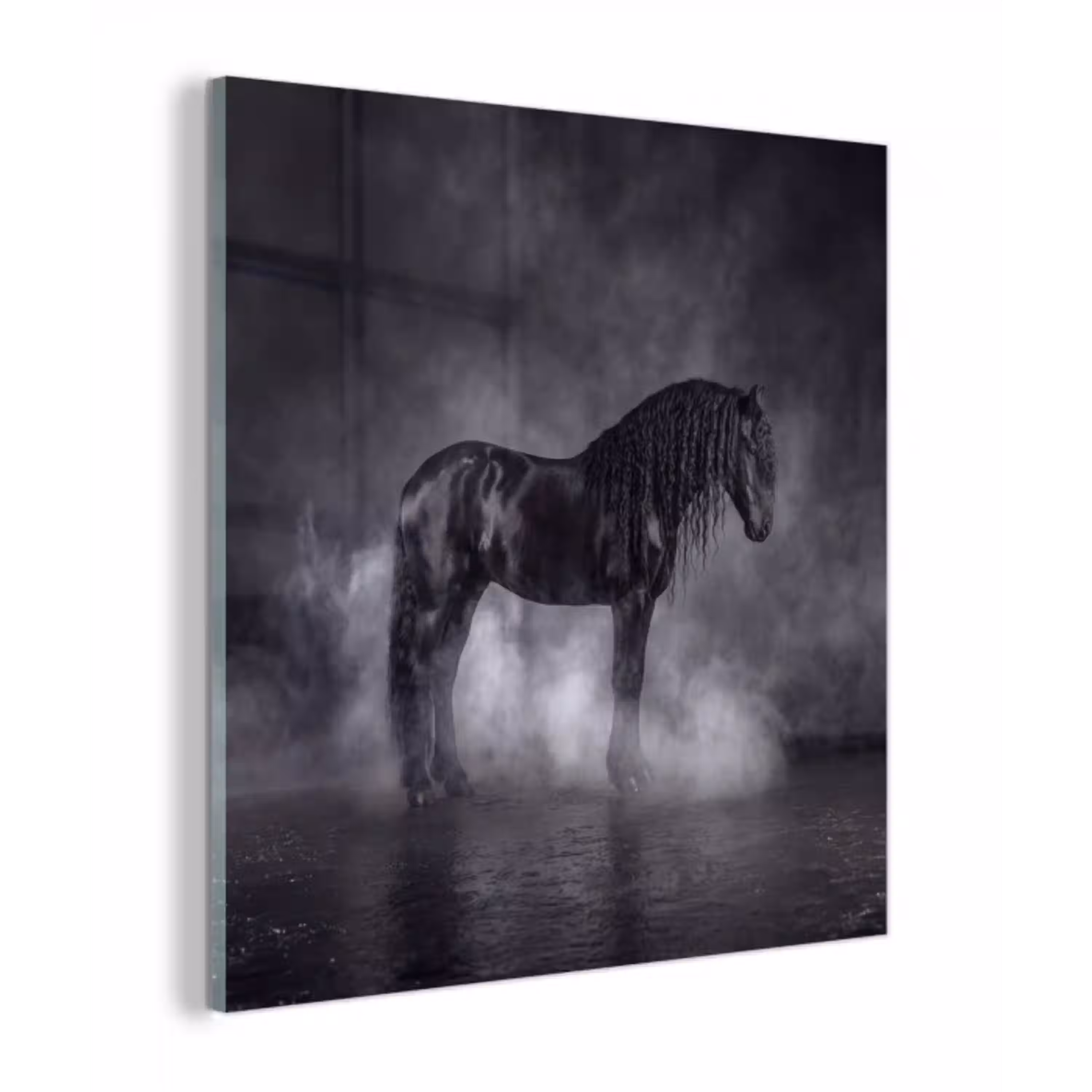 Paard - Magisch - Zwart plexiglas 5mm klein -z3d
