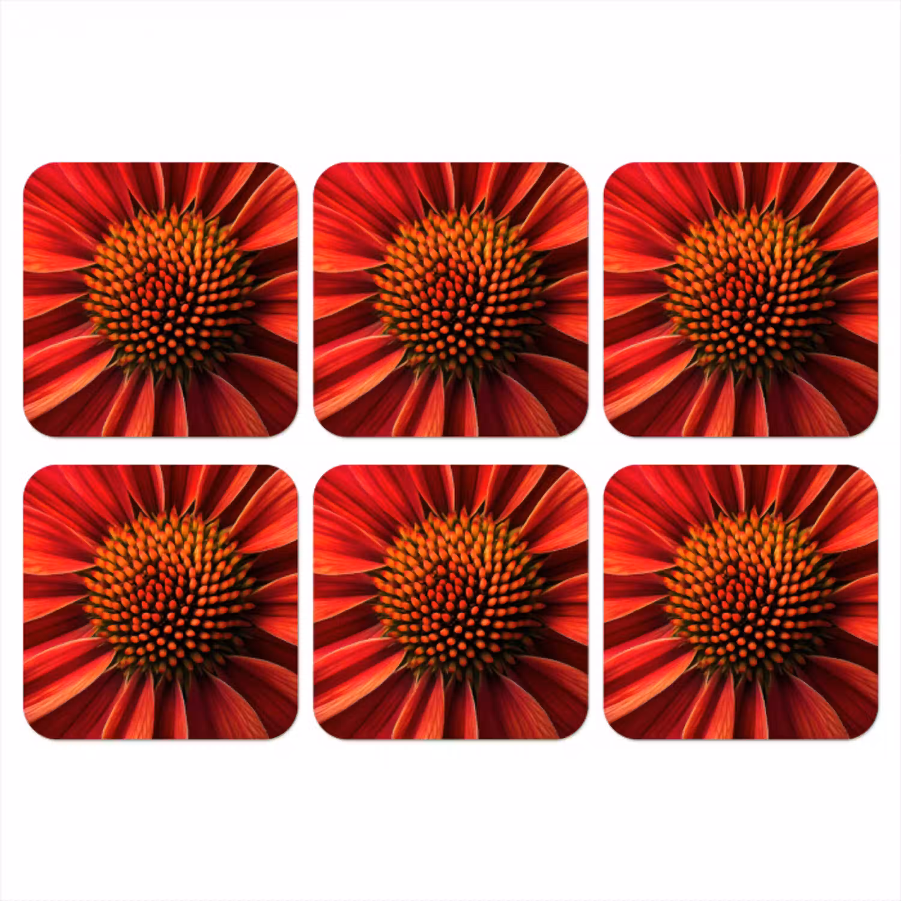 Close up - Bloem- Rood onderzetter kurk middel -3d
