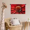 Close up - Bloem - Quote - Rood Wandkleed katoen klein -wsfeer5_kind