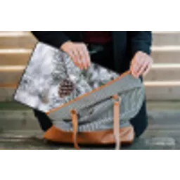 Dennenappel - Tak - Sneeuw - Winter - Sfeervol laptophoes neopreen klein -tas