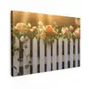 Rozen - Hek - Zonlicht canvas 2cm klein -z3d