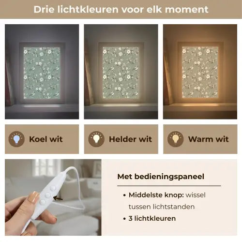 Botanisch - Vogels - Groen Light Box met kabel (Tafellamp) klein 925 -USP_lichtkleurNL