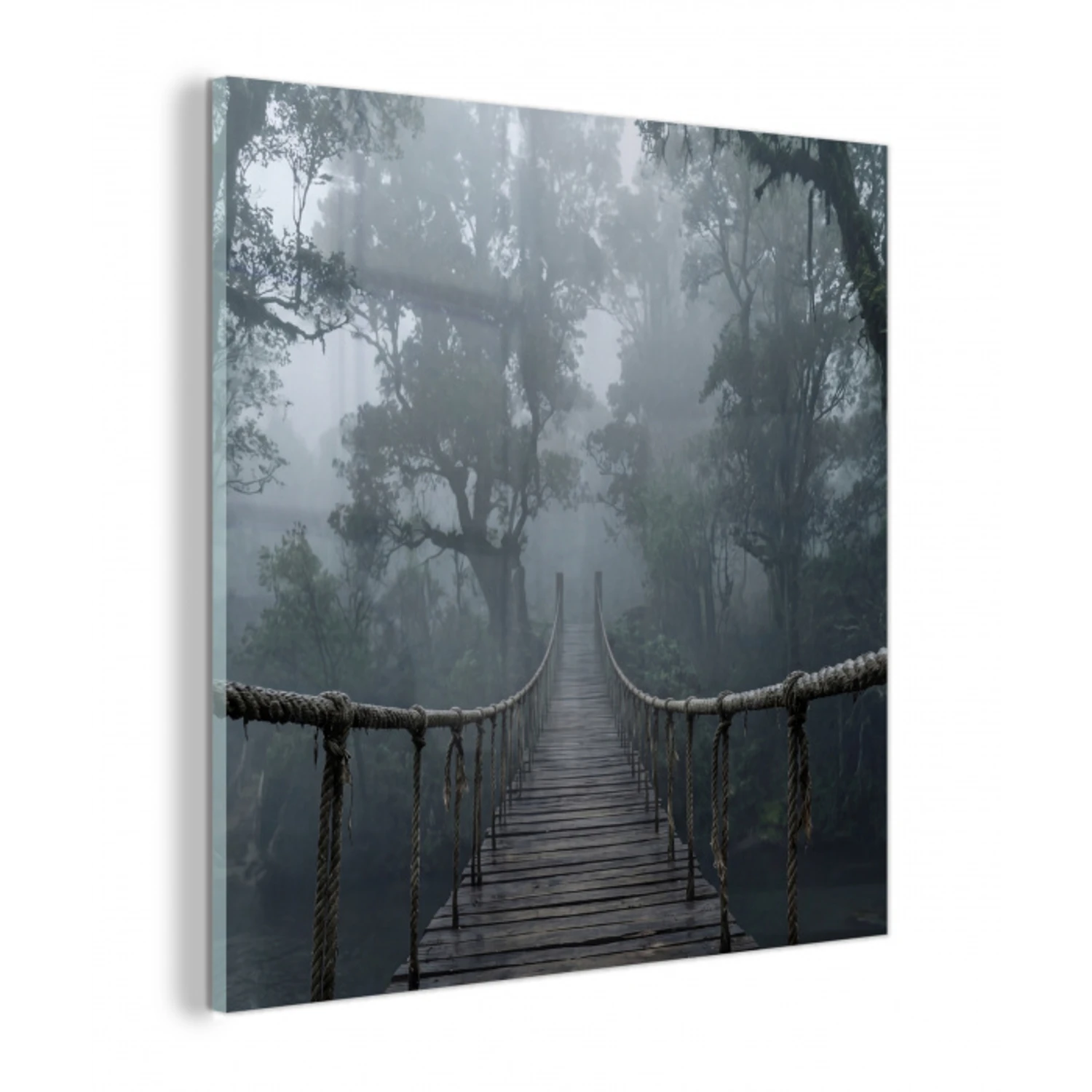 Brug - Jungle - Mist - Natuur plexiglas 5mm klein -z3d