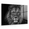 Leeuw - Dieren - Zwart - Wit plexiglas 5mm klein -zzzproduct_nieuw