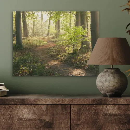 Bos - Bomen - Pad - Zon - Planten - Bladeren - Natuur PET vilt klein -sfeer2