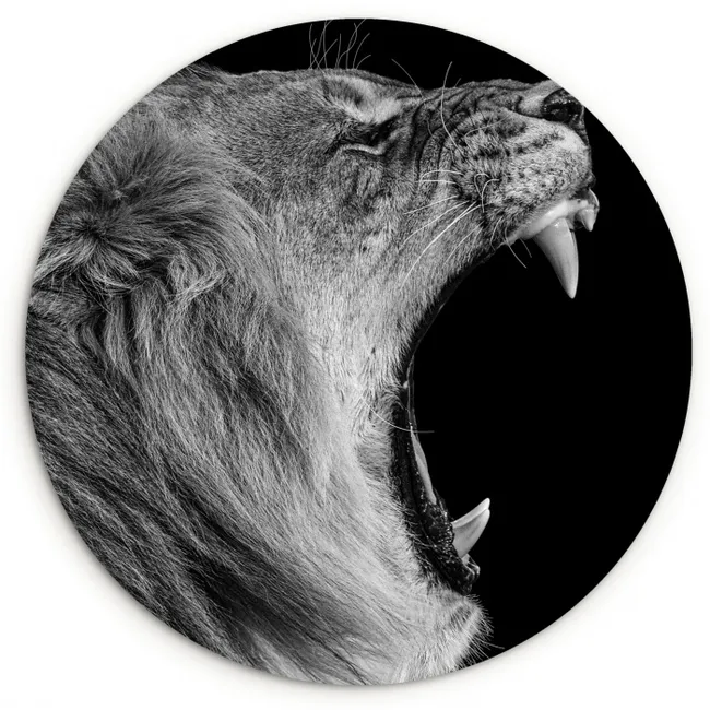 Dieren - Leeuw - Zwart - Wit - Portret Wandcirkel kunststof plaat 5mm dik klein -3d
