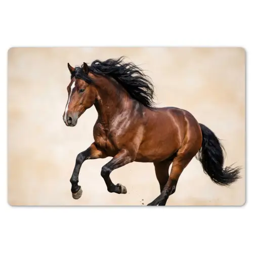 Paard - Galop - Energie Placemat vinyl groot -zzsfeer1_Kitchenyeah-website