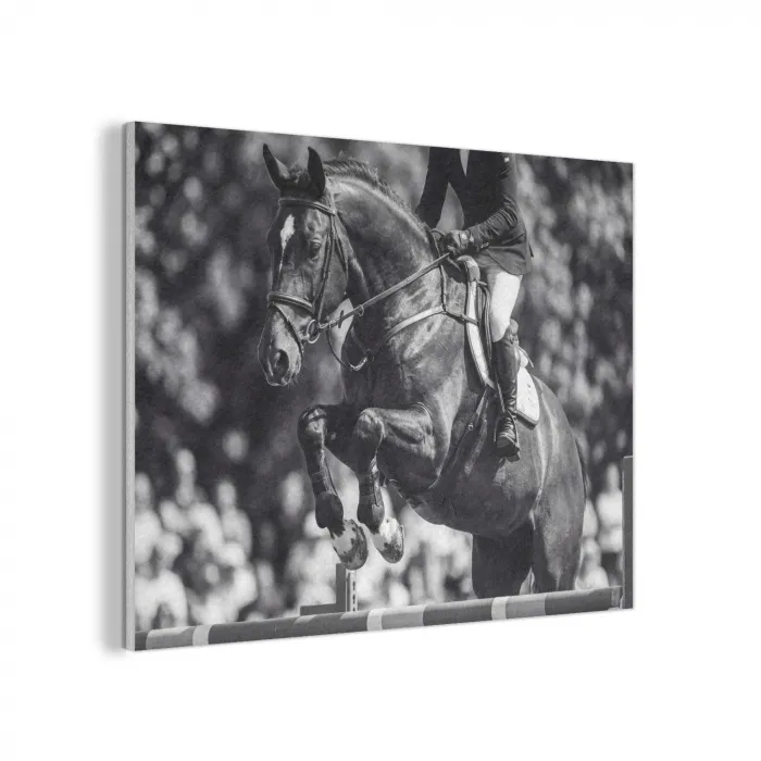 Springen - Paard - Zwart - Wit PET vilt klein -3d