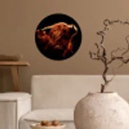 Schotse hooglander - Koe - Hoorns - Portret - Dieren Wandcirkel behangsticker klein -sfeer1