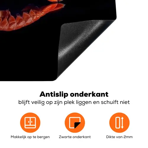 Kreeft - Oranje - Zwart - Opvallend Inductie beschermer vinyl 3mm klein -zzzzzzz-td-onderkant