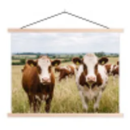 Koeien - Portret - Weide - Boerderij - Nieuwsgierig textielposter latten blank klein -3d