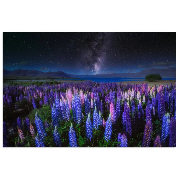 Bloemen - Nacht - Lupine - Sterrenhemel - Paars - Natuur poster papier klein -3d