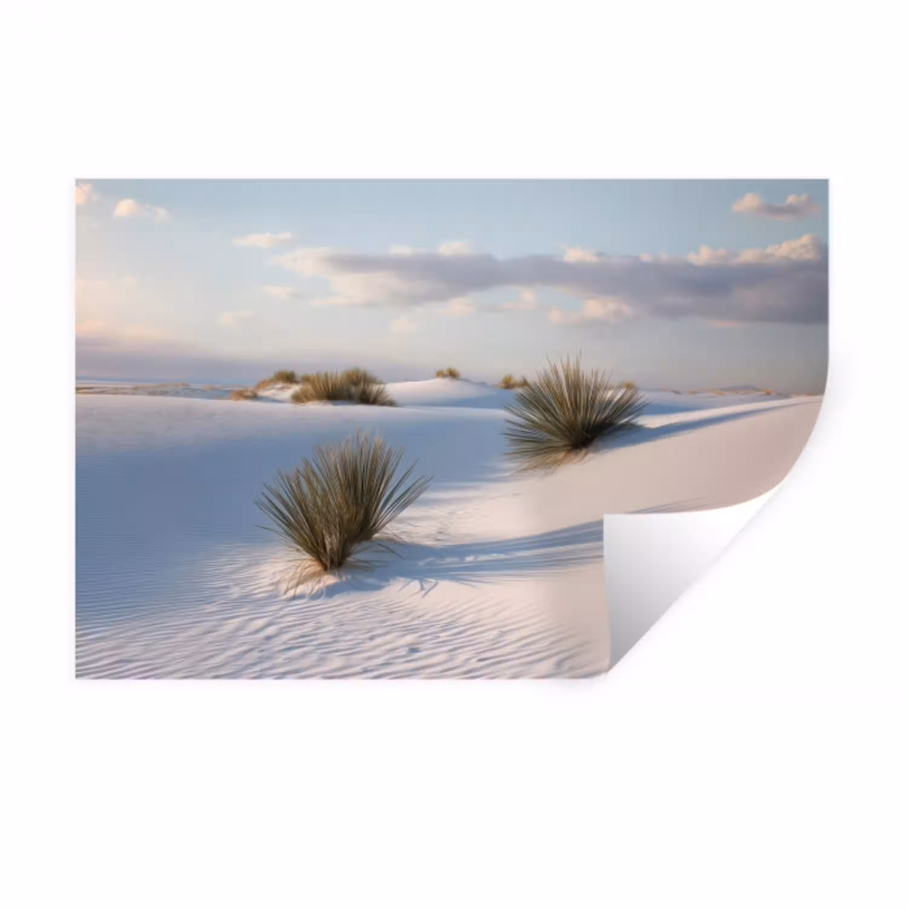 Duinen - Gras - Wolken - Beige Muursticker klein -3d