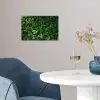 Groen - Bladeren - Kartel - Zonlicht poster papier klein -sfeer3
