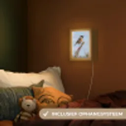 Roodborsttapuit - Heide - Paars - Natuur - Sfeervol Light Box met kabel (Kinderlampje) klein -sfeer5_kind