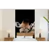 Giraffe - Dieren - Zwart - Portret - Dieren fotobehang vinyl groot -bed