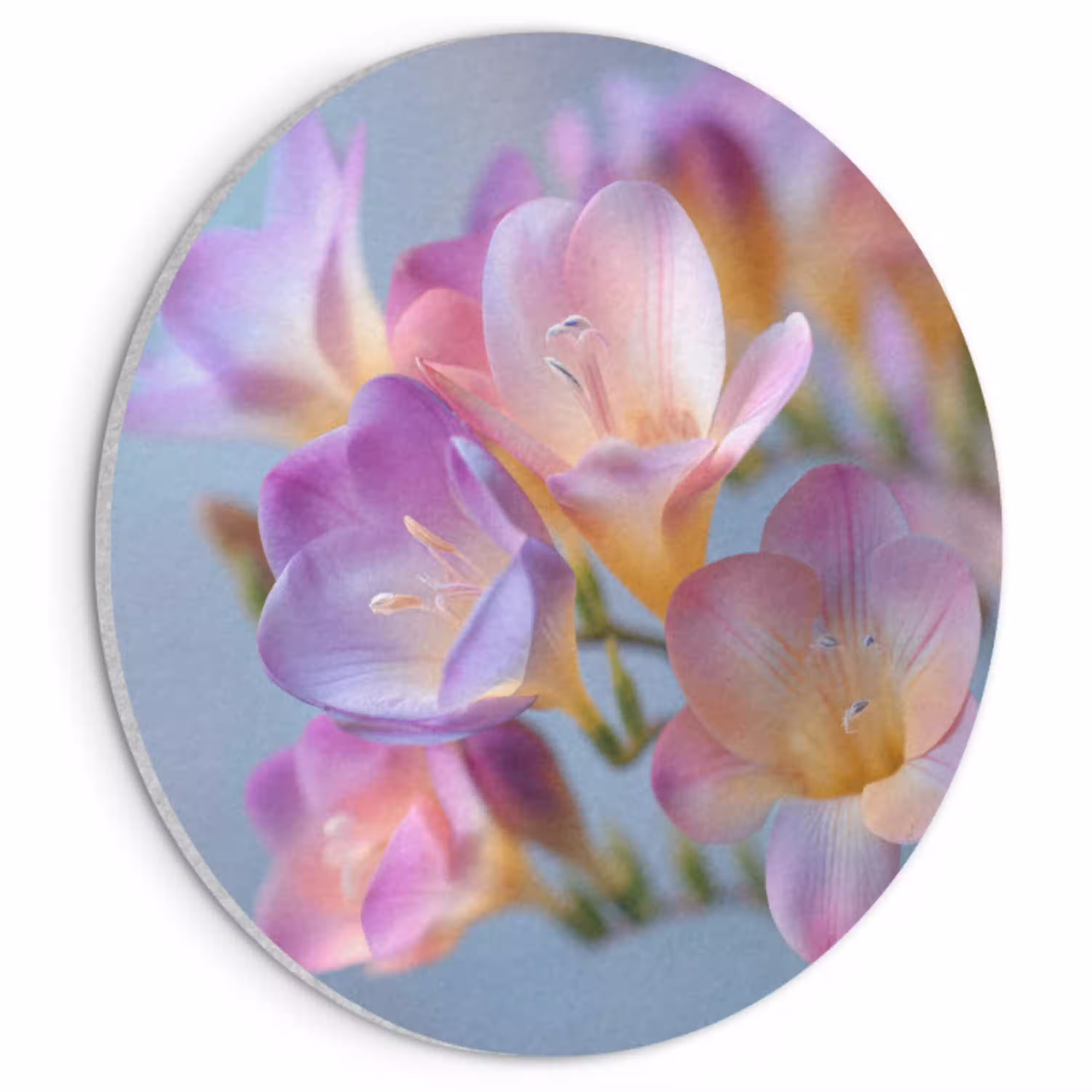Bloemen - Paars - Overloop - Meeldraden Akoestische PET Vilt - Rond klein -3d