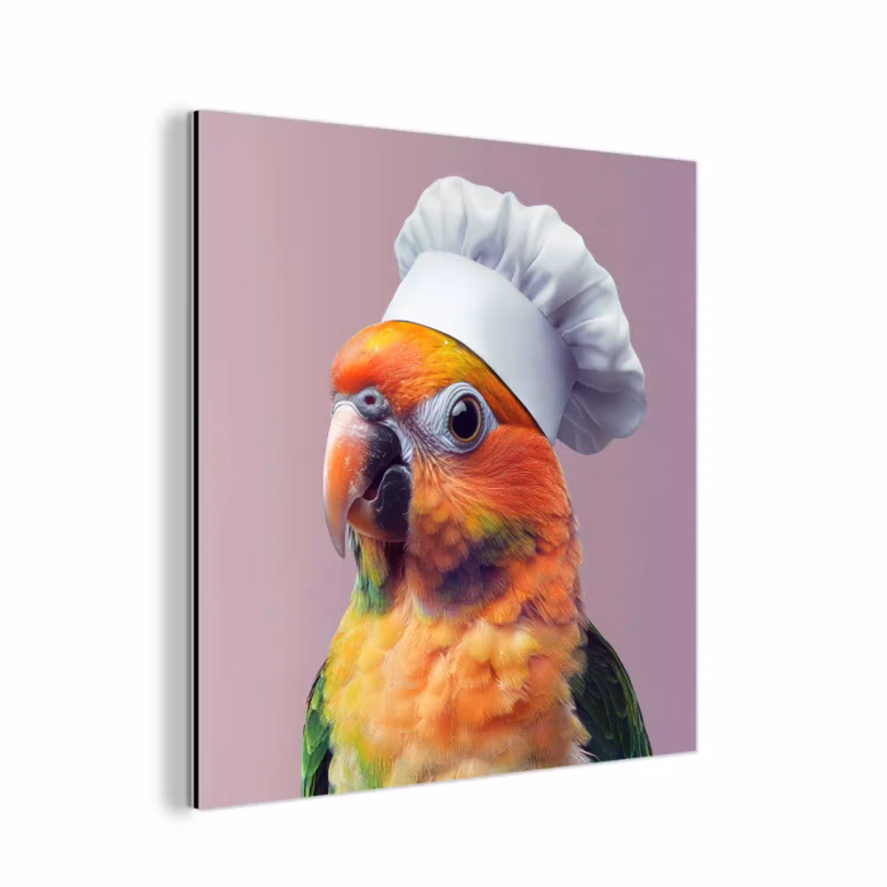 Papegaai - Koksmuts - Nieuwsgierig - Vogel aluminium wit klein -3d
