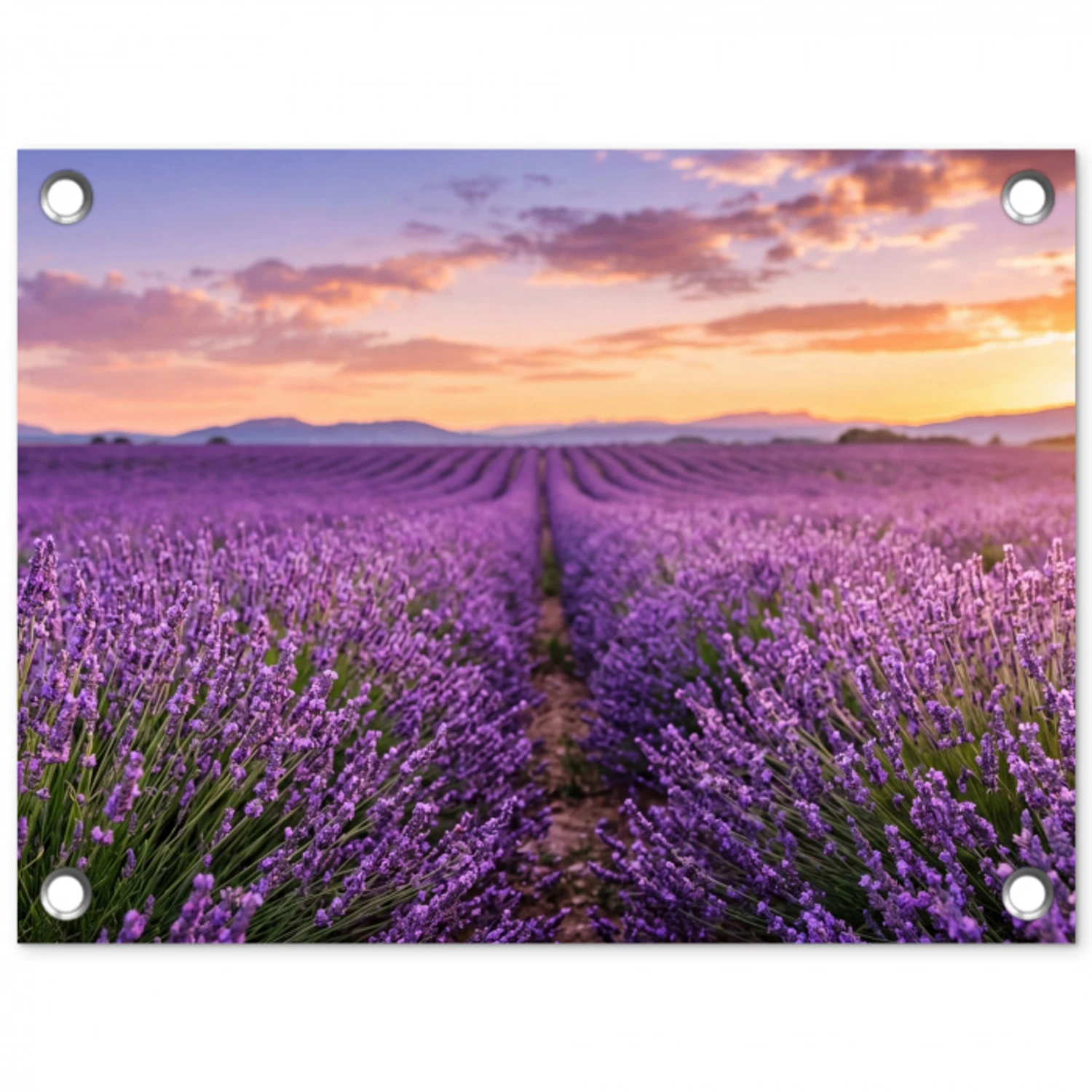 Lavendel - Veld - Natuur - Paars tuinposter los doek klein -3d