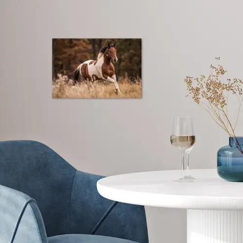 Paard - Bruin - Gras poster papier klein -sfeer3