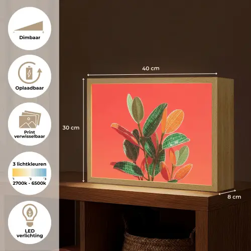 Bladeren - Nerven - Oranje - Structuur Light Box met batterij (Wandlamp) middel -USP_websiteoverzichtNL